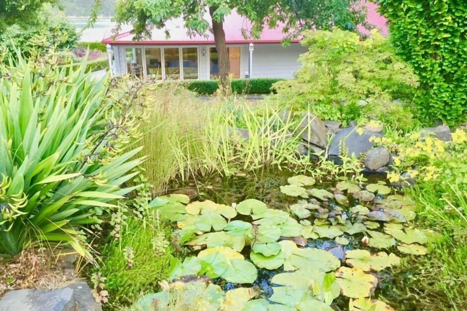 Consider the lilies