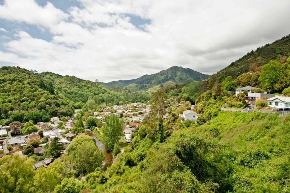 Views on forested hills and the Centre of NZ