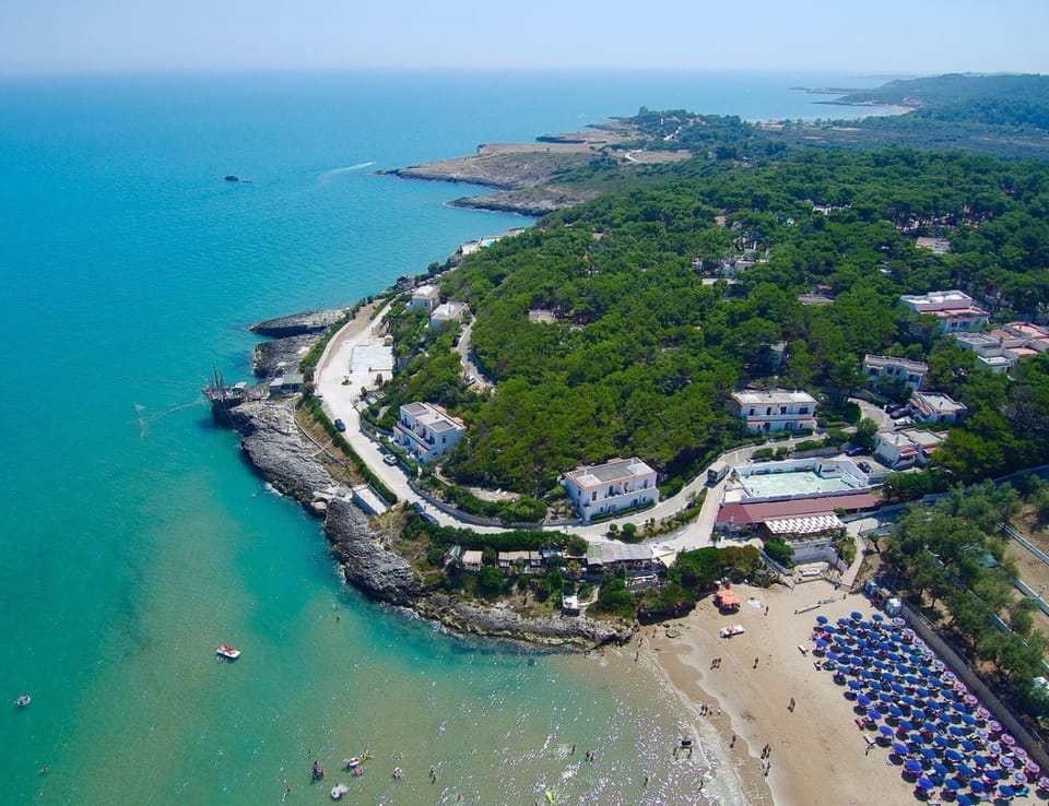 Private beach, sun loungers, beach umbrellas
