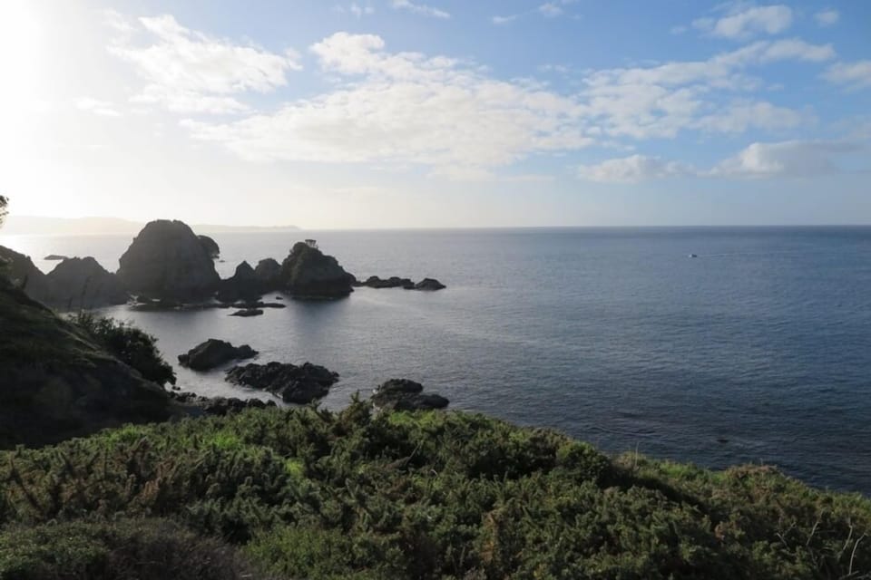 Tawharanui Park nearby