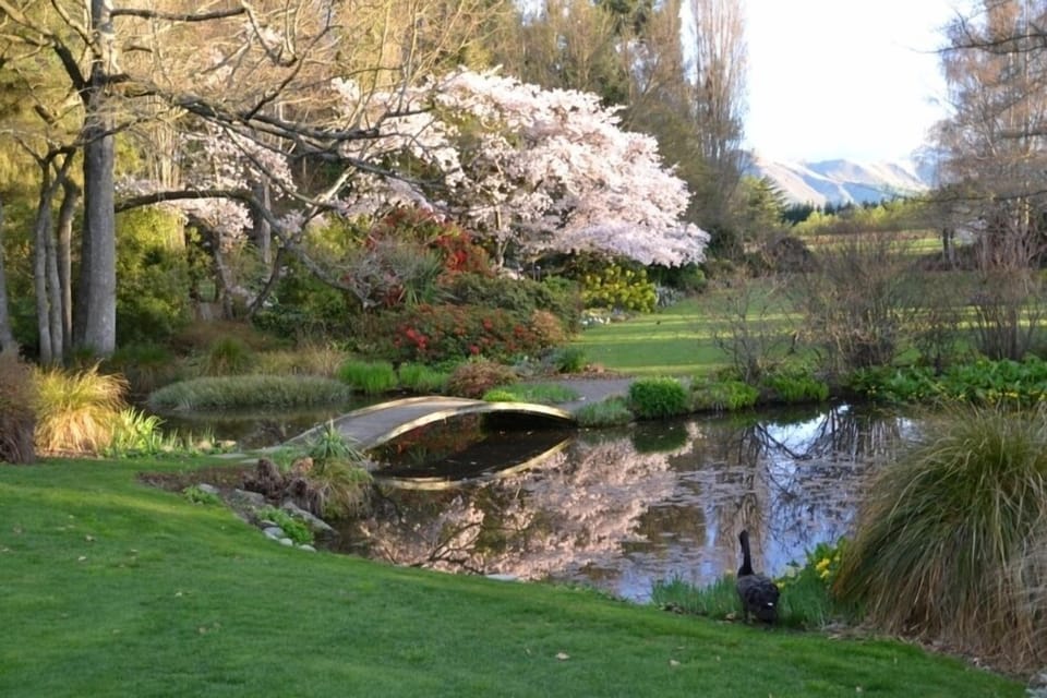 Spring at Flaxmere