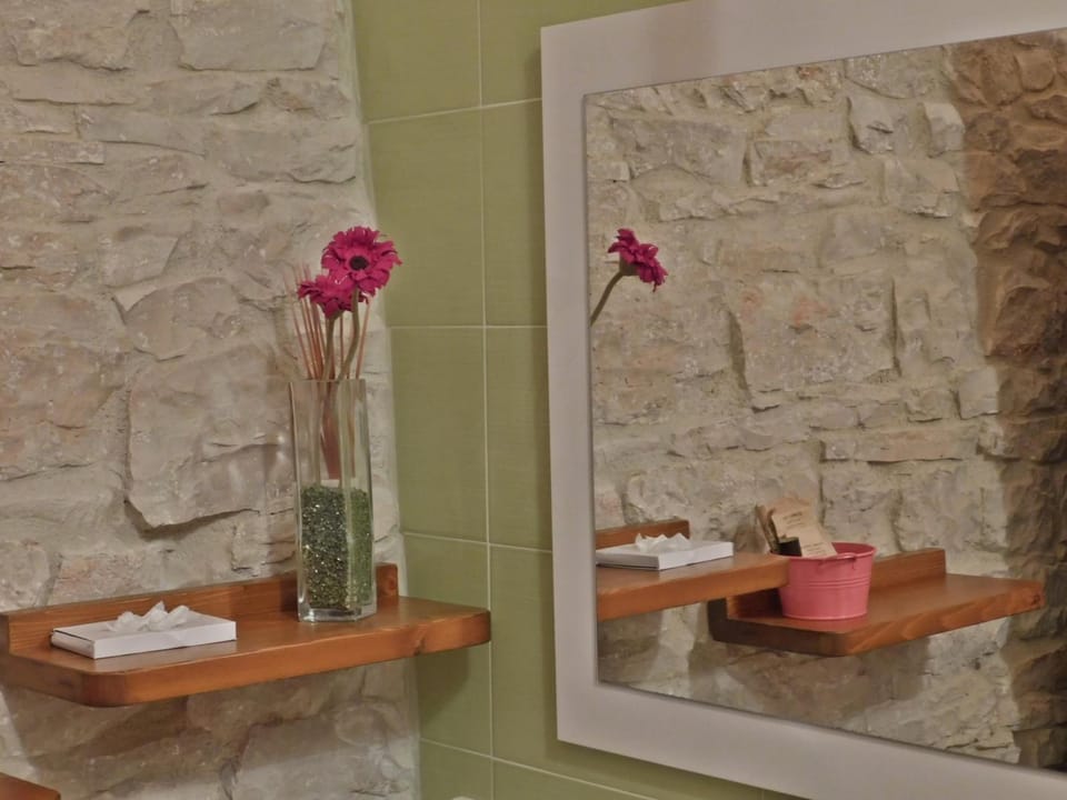 Shower, free toiletries, hair dryer, bidet