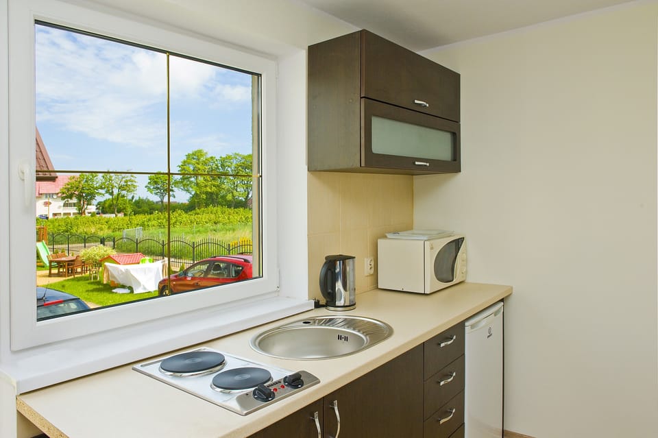 Apartment (two-level) | Private kitchenette | Full-size fridge, electric kettle