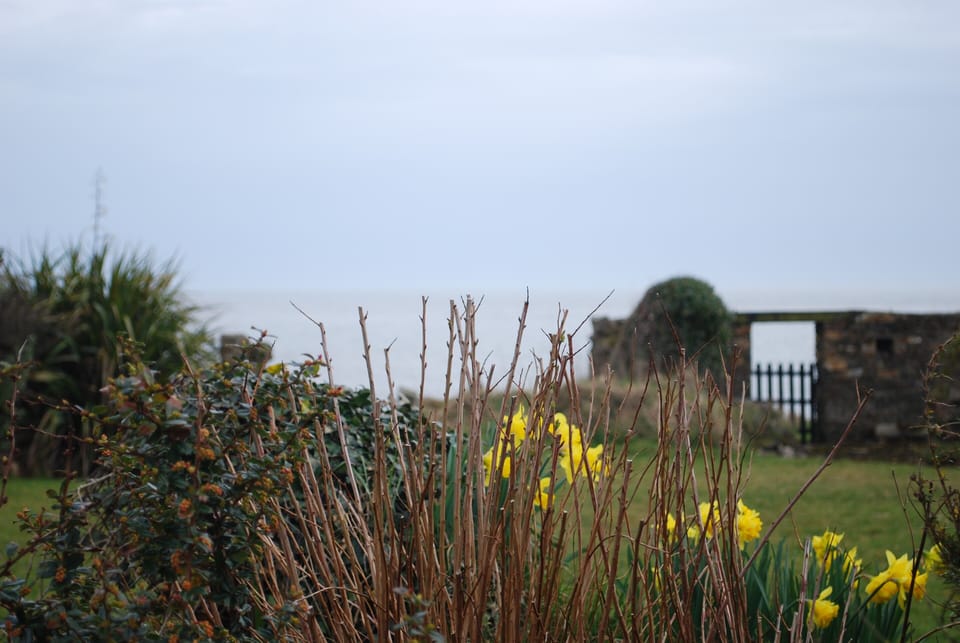 Garden from front door