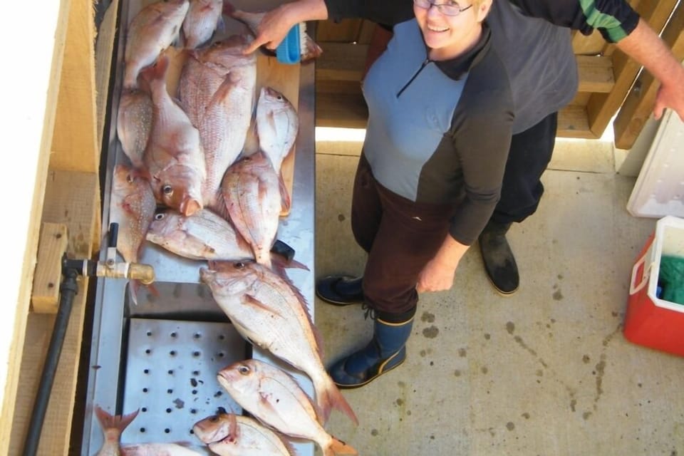 Fish cleaning area