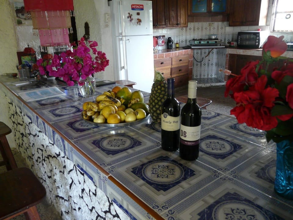 Bar/kitchen counter