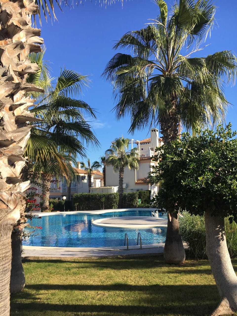 Pool and gardens
