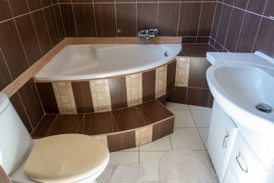Premium Apartment, 2 Bedrooms | Bathroom | Free toiletries, hair dryer, towels, soap