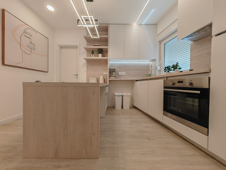 Apartment (A1) | Private kitchen | Fridge, oven, stovetop, dishwasher