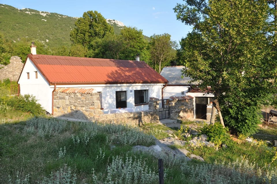 Building design