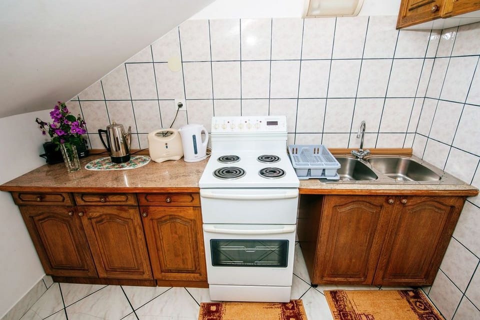 Apartment (A1) | Private kitchen | Fridge, microwave, oven, stovetop