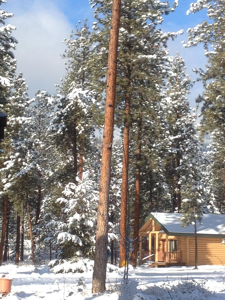 The Elk Cabin in winter sleeps family of six, top of the line mattresses, comfy.