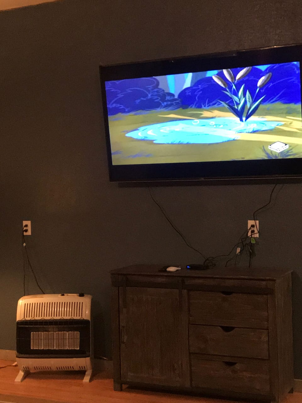 (Basement )Down stairs Bonus area