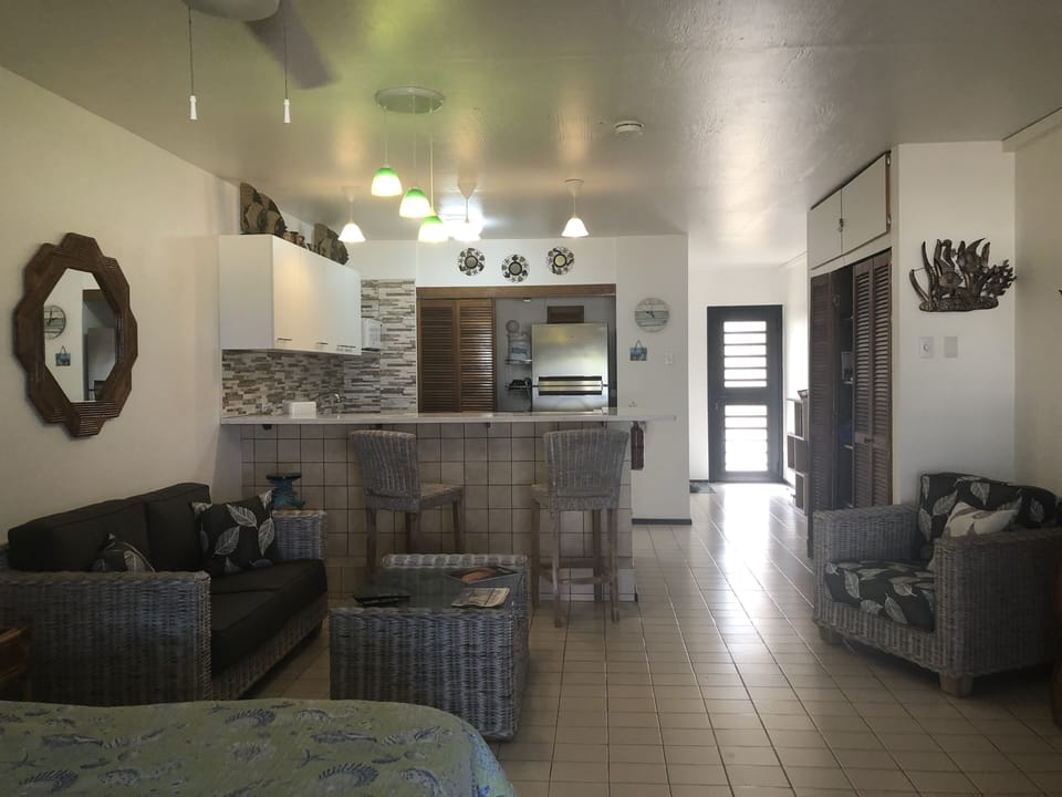 Living area and kitchen bar.
