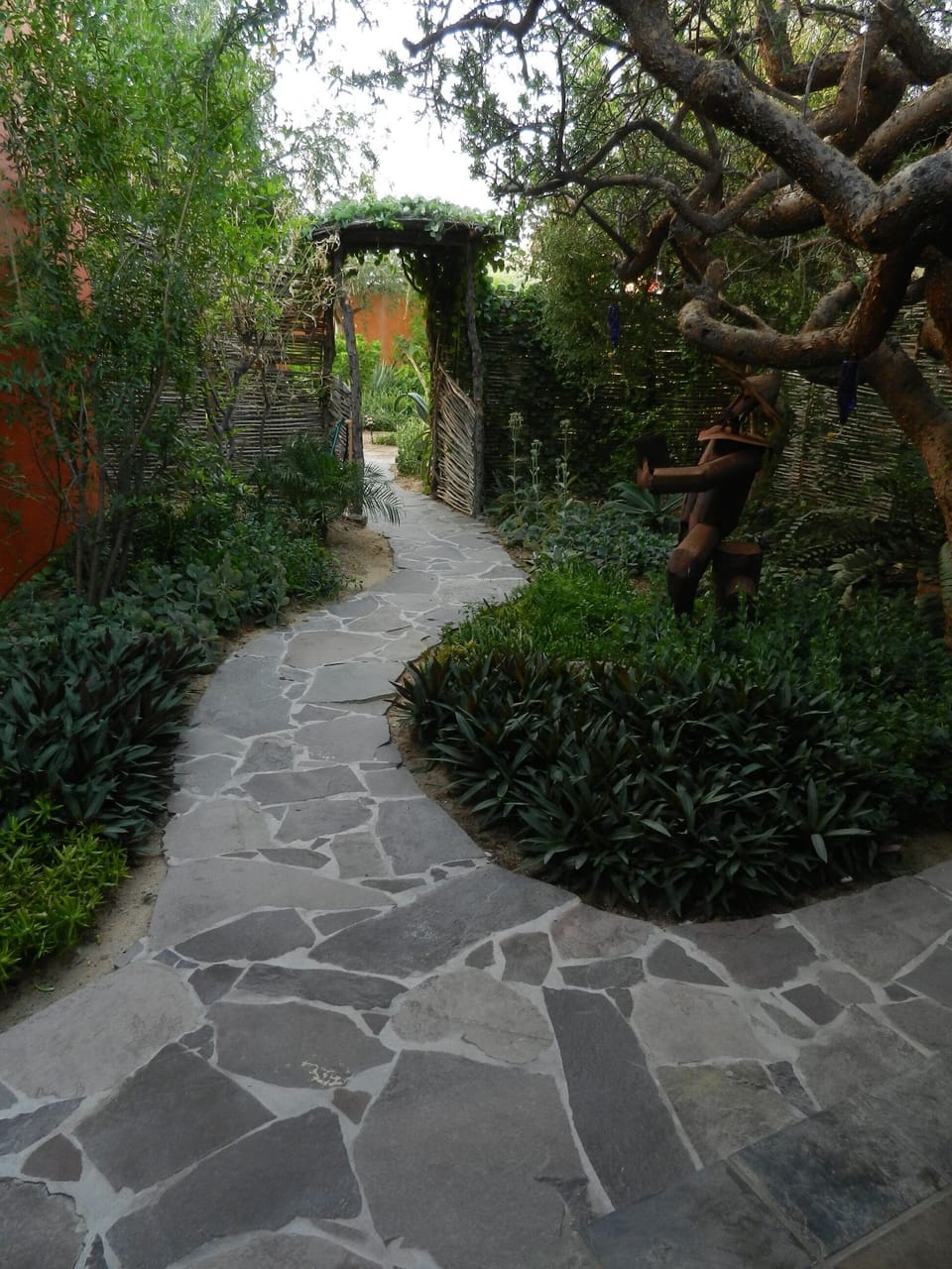 Path entering Casita garden
