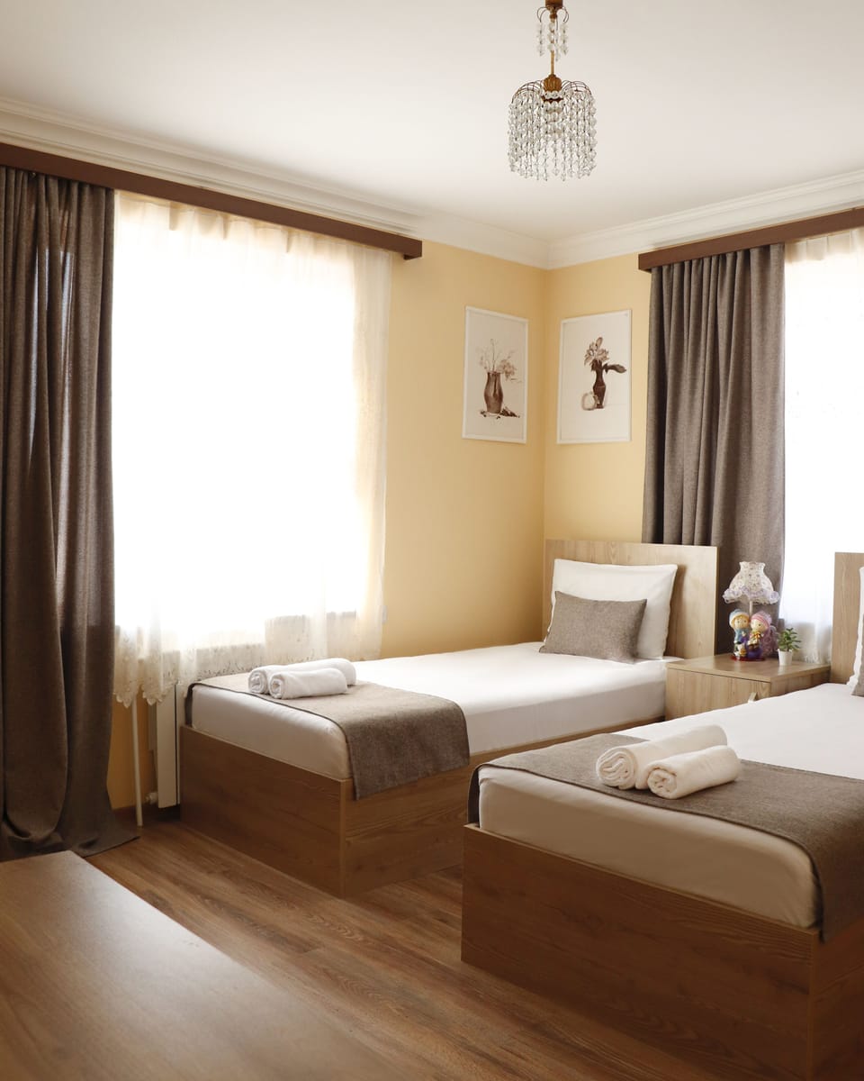 Standard Double or Twin Room, Mountain View | 1 bedroom, desk, laptop workspace, soundproofing