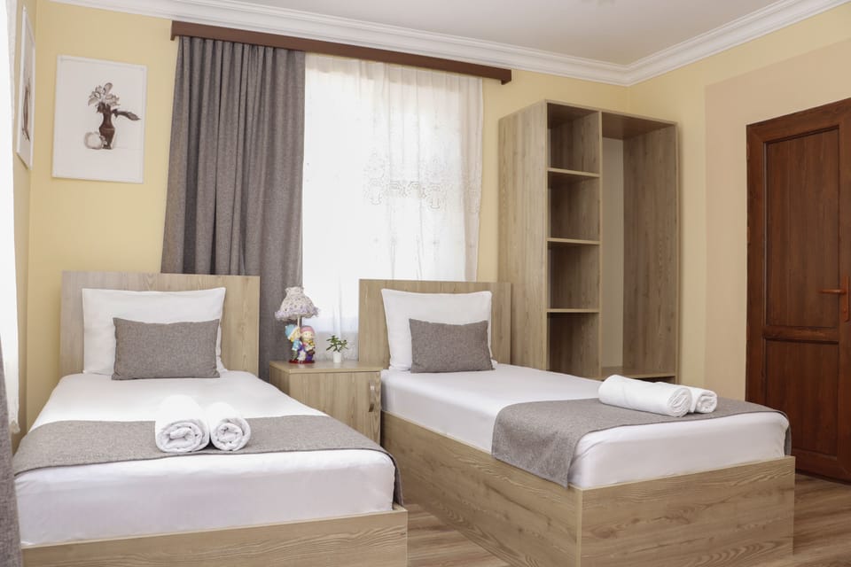 Standard Double or Twin Room, Mountain View | 1 bedroom, desk, laptop workspace, soundproofing