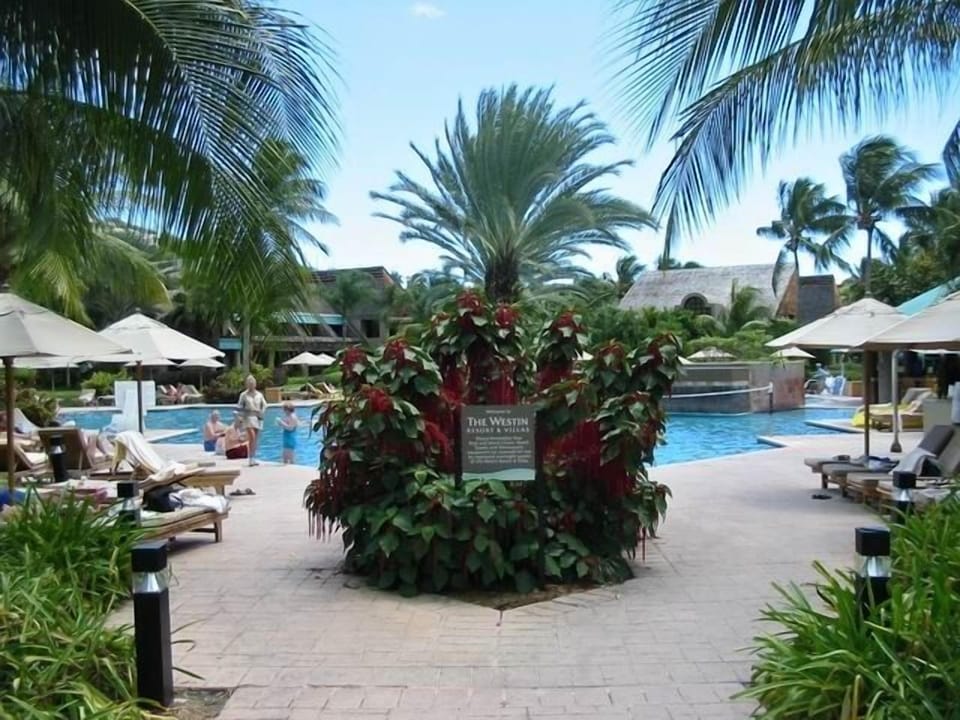 Main pool