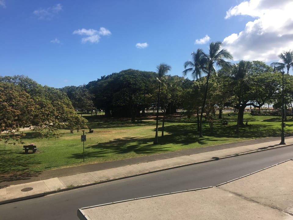 The view from your window