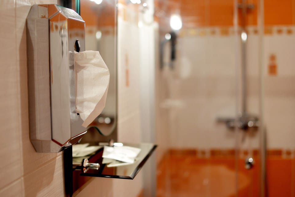 Comfort Double Room | Bathroom | Shower, hair dryer, towels
