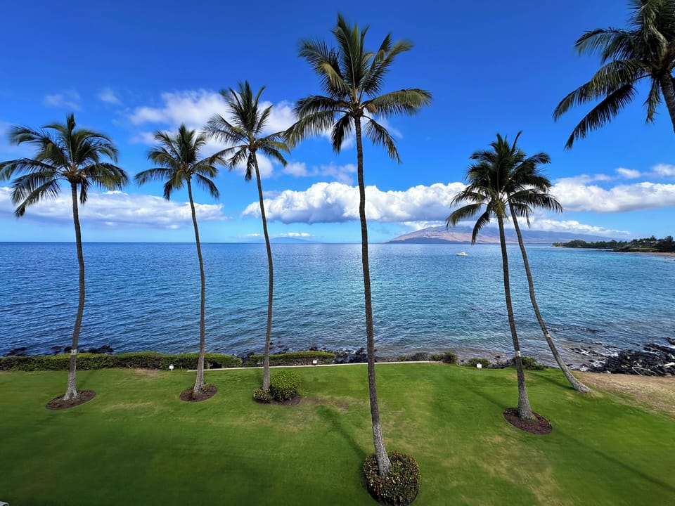 Open grassy areas for relaxation and enjoyment.