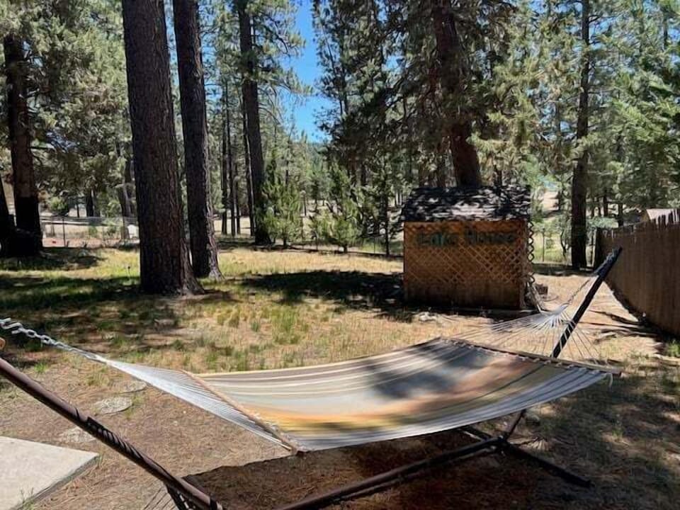 Hammock