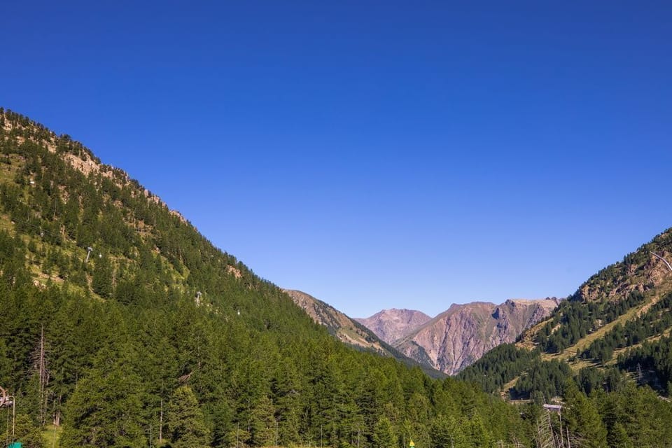 Dense pine forest lining the valley below, with the Alpes-Maritimes peaks visible above the treeline.