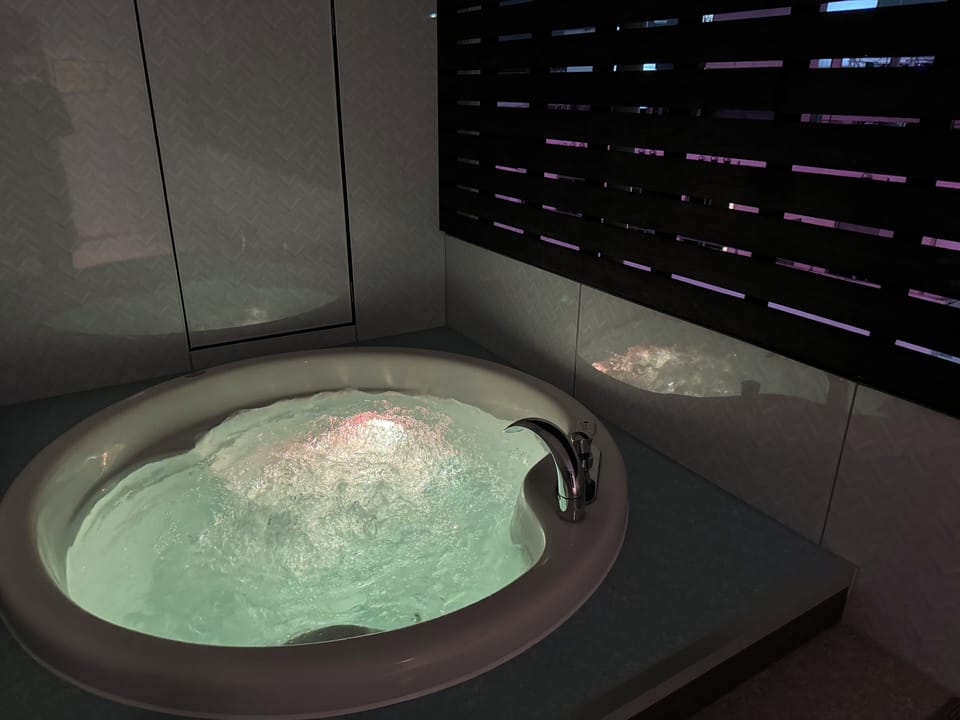 Deluxe Double Room | Bathroom | Free toiletries, hair dryer, bathrobes, slippers