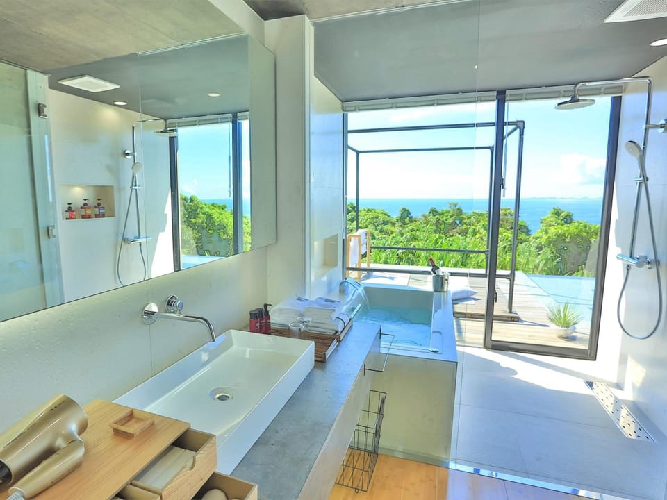 Separate tub and shower, free toiletries, hair dryer, bathrobes