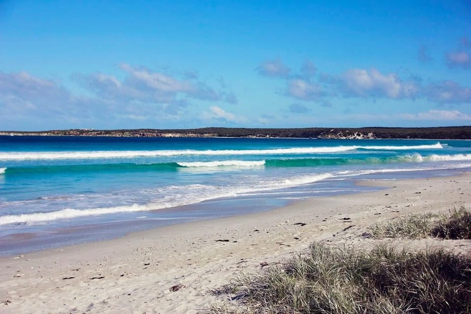 Nepean Bay