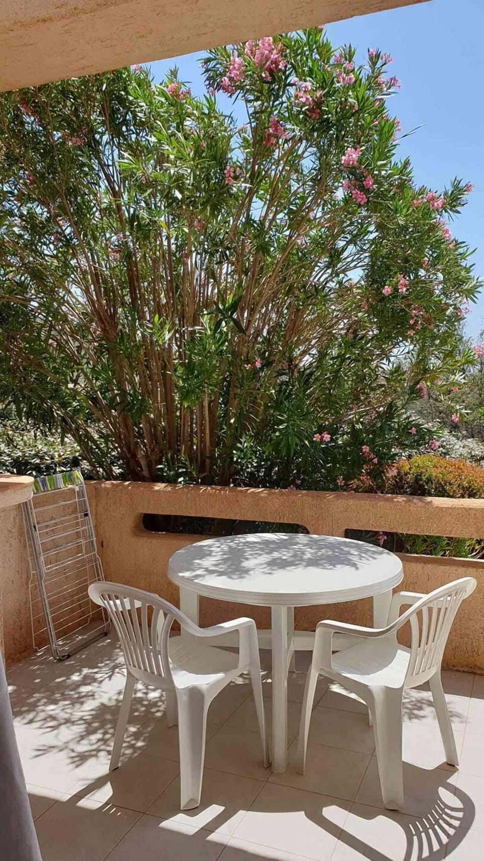 Terrasse N°10 bis