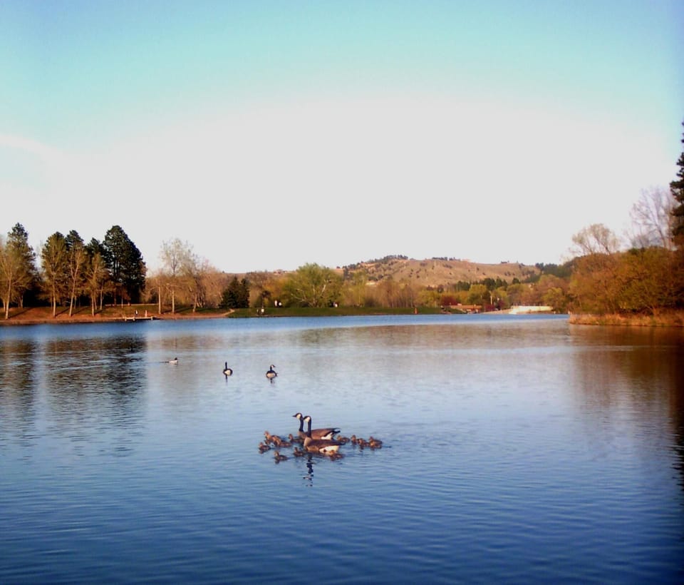 Lake area