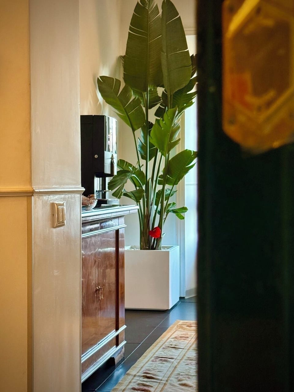 Flat-screen TV