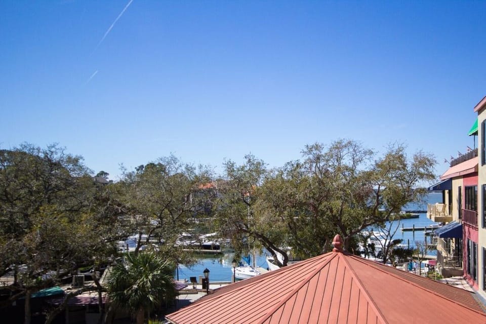 View of the Harbour from our building