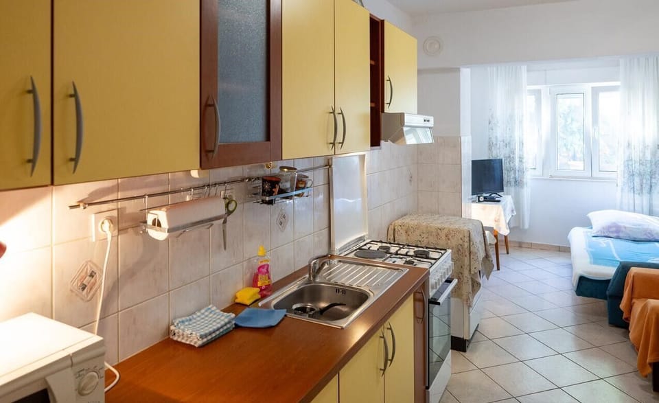 Apartment (A3) | Private kitchen | Fridge, microwave, oven, stovetop