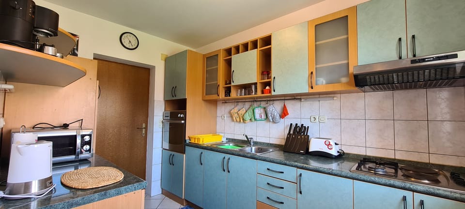 Apartment (A1) | Private kitchen | Fridge, microwave, oven, stovetop