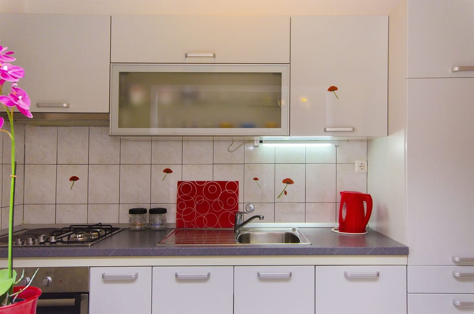 Apartment (A1) | Private kitchen | Fridge, oven, stovetop, electric kettle