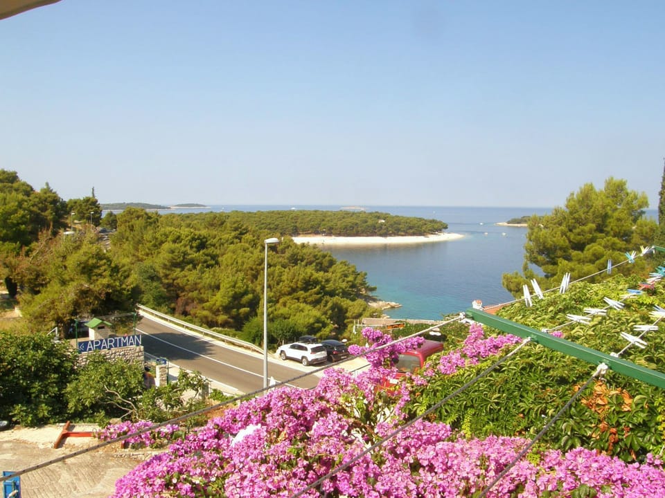 Apartment (A1) | Water view