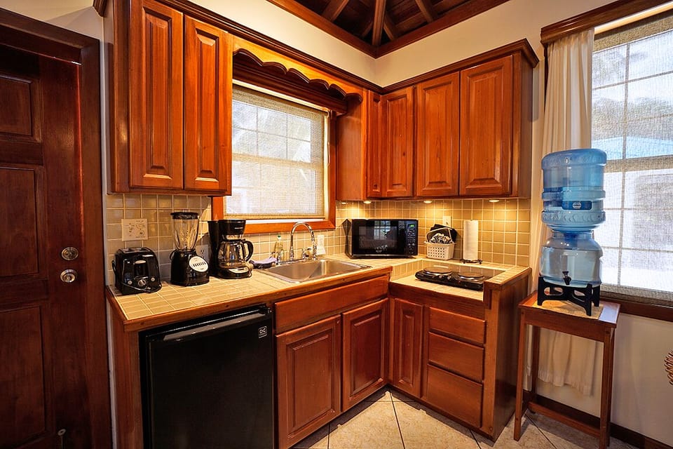 Microwave, stovetop, toaster, blender