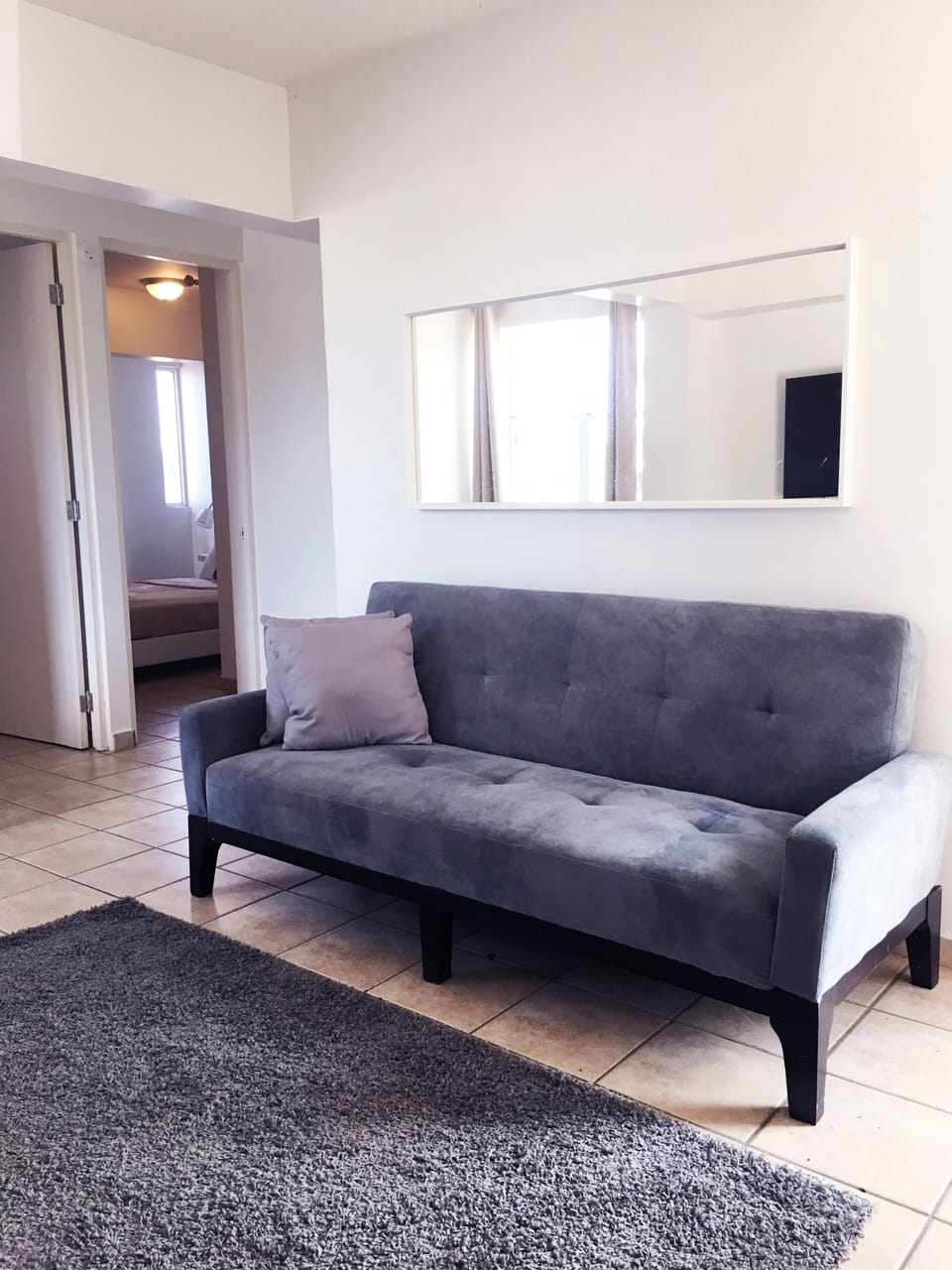 Area de sala que tiene sofá cama Queen para 2 personas y demás indumentaria.