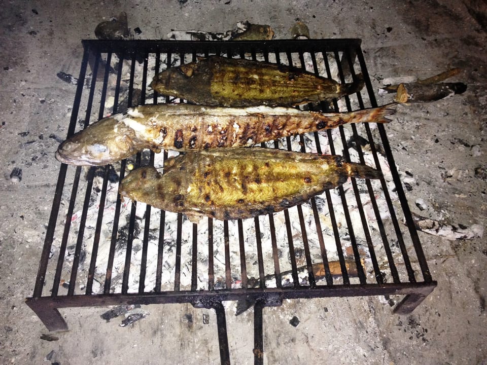 BBQ/picnic area