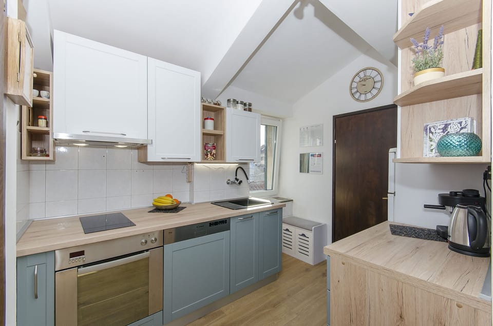 Apartment (A1) | Private kitchen | Fridge, microwave, oven, stovetop