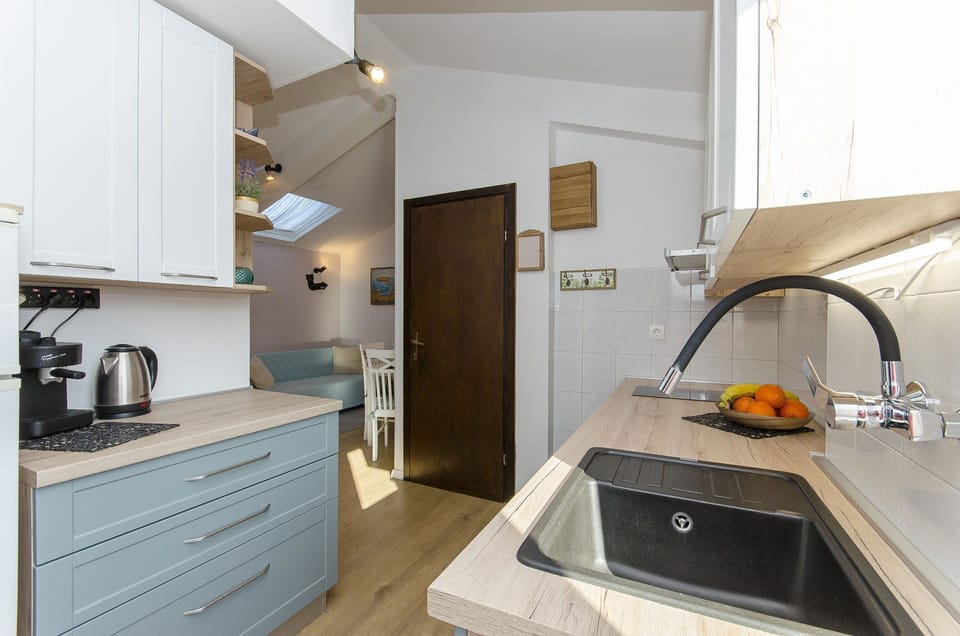 Apartment (A1) | Private kitchen | Fridge, microwave, oven, stovetop