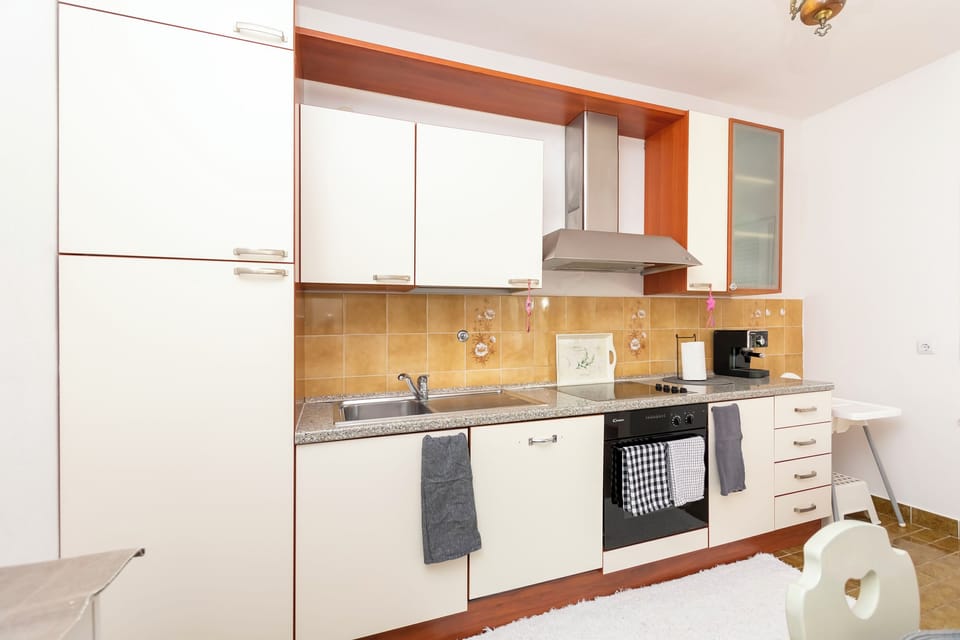 Apartment (A1) | Private kitchen | Fridge, oven, stovetop, dishwasher