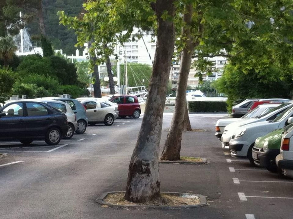 Free self parking