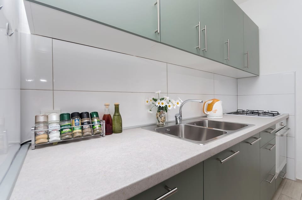 Apartment (A1) | Private kitchen | Fridge, microwave, oven, stovetop