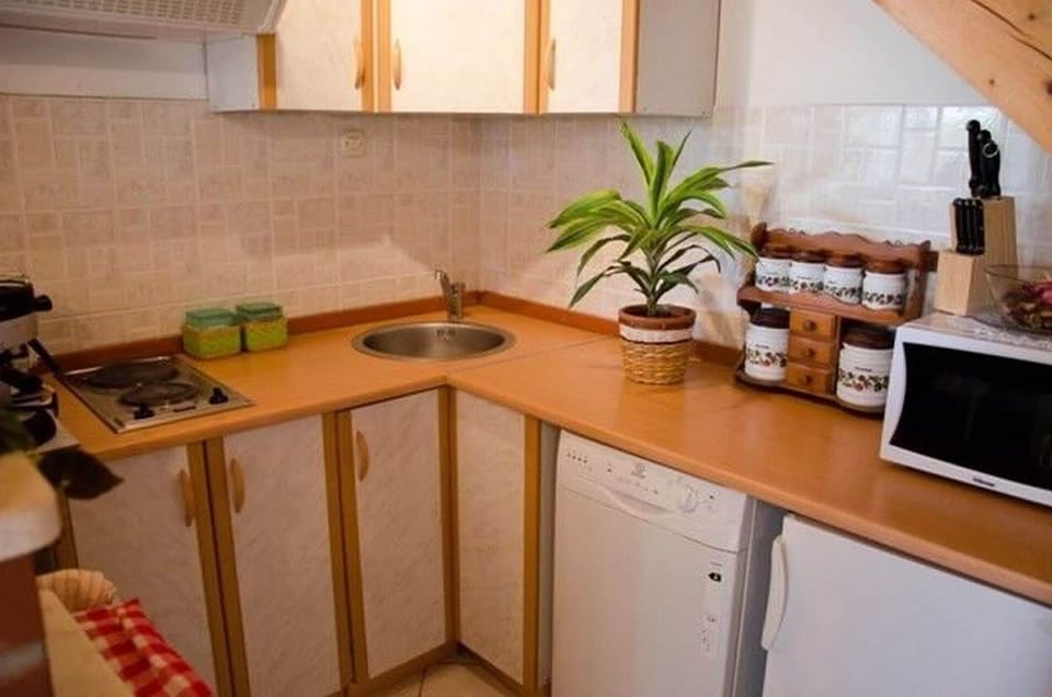 Apartment (A1) | Private kitchen | Fridge, microwave, stovetop, dishwasher