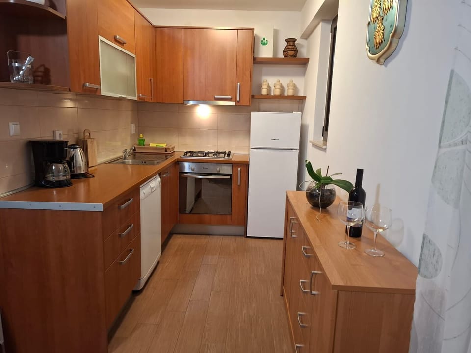 Apartment (A1) | Private kitchen | Fridge, oven, stovetop, dishwasher