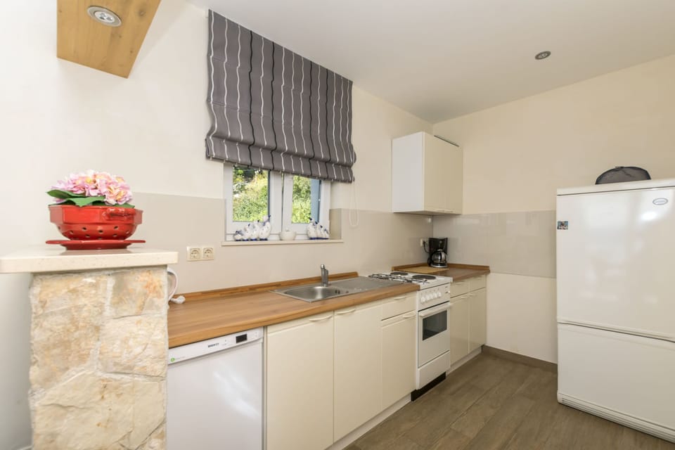 Apartment (A2) | Private kitchen | Fridge, oven, stovetop, dishwasher