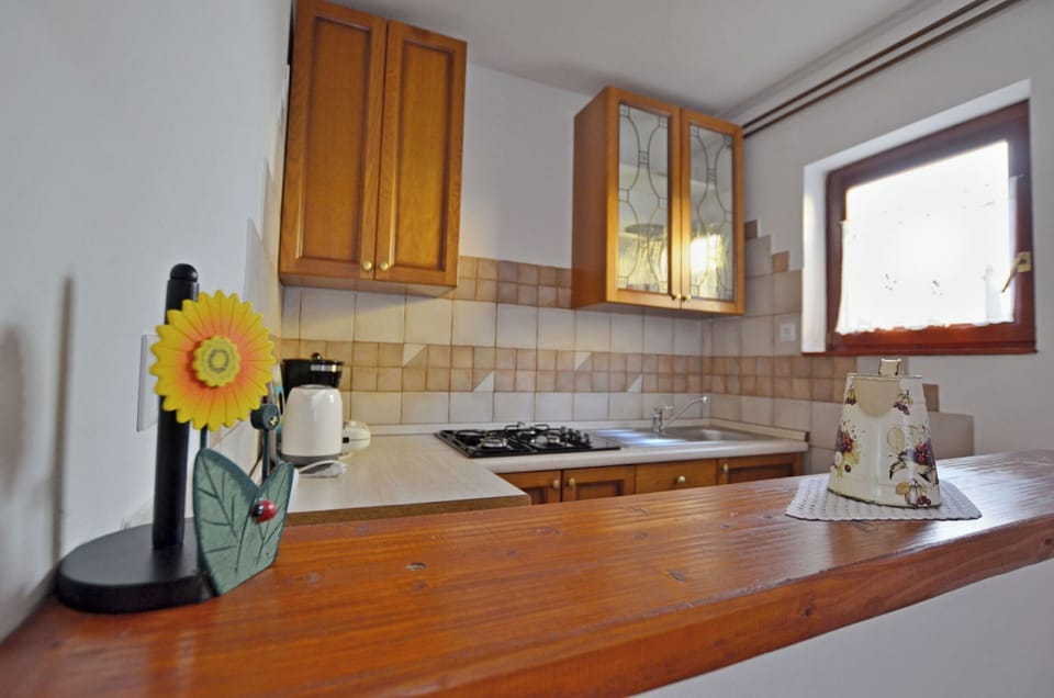 Apartment (A1) | Private kitchen | Fridge, stovetop, coffee/tea maker